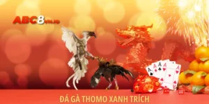 Đá Gà Thomo Xanh Trích - Hình Thức Gà Đá Đỉnh Cao