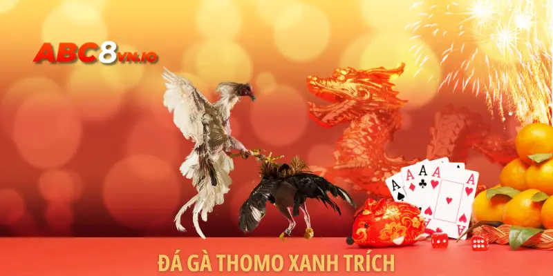 Đá Gà Thomo Xanh Trích - Hình Thức Gà Đá Đỉnh Cao