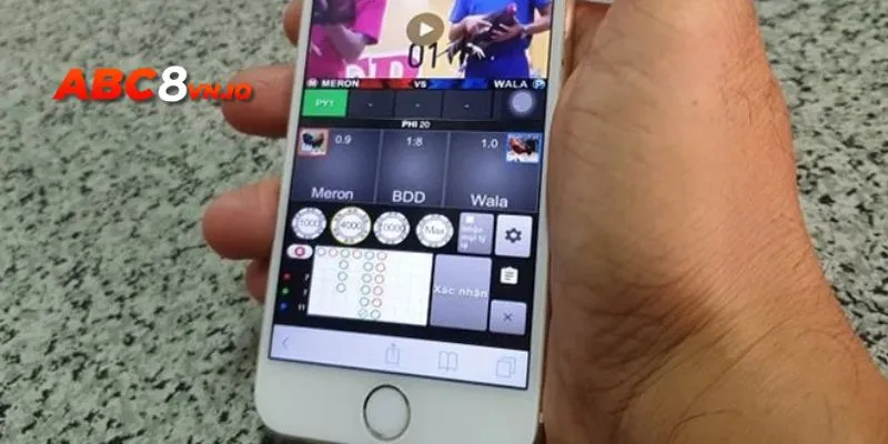 Coi Đá Gà Trên Mạng Ở Đâu Uy Tín - Địa Chỉ Số 1 Cho Sư Kê Không còn lo lắng khi đặt cược đá gà trên mạng